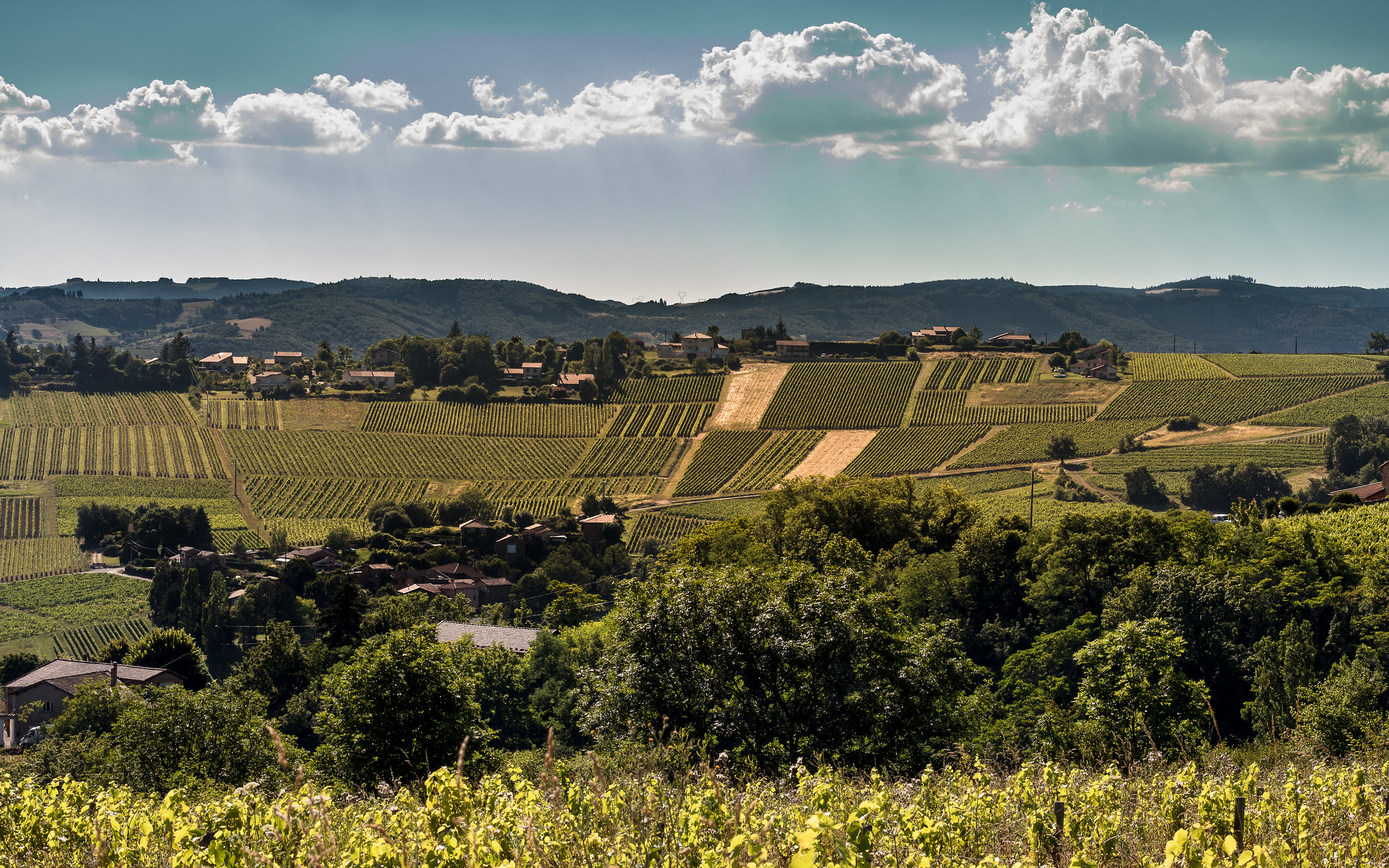 Image de paysage du Beaujolais.